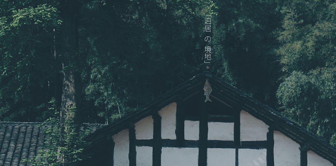 植物大战僵尸9