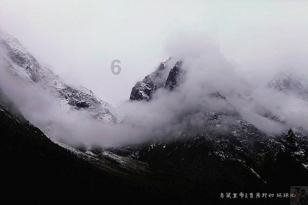 拯救小犀牛