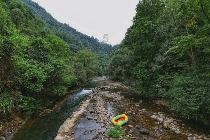 佳能6D2与R6选哪个更好些？游戏画面